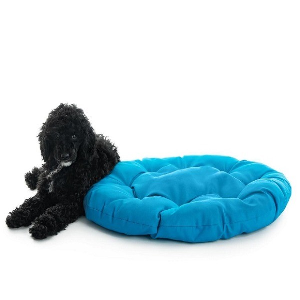 Accesorios para perros
