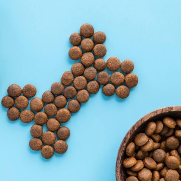 Alimentación para perros